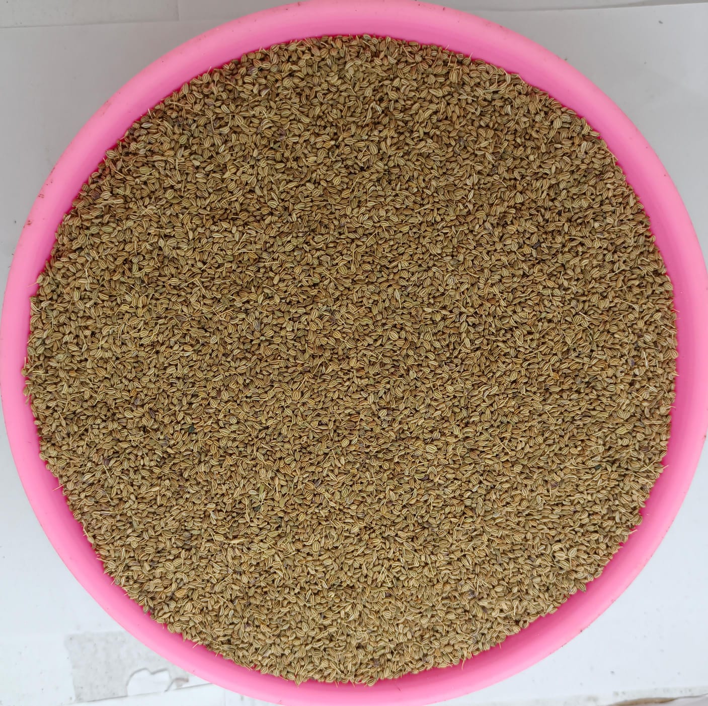 AJWAIN LOOSE